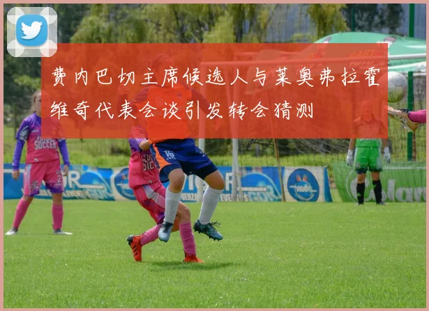 费内巴切主席候选人与莱奥弗拉霍维奇代表会谈引发转会猜测